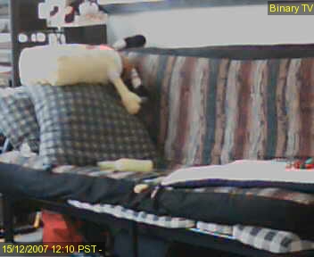 Binary Cam Image